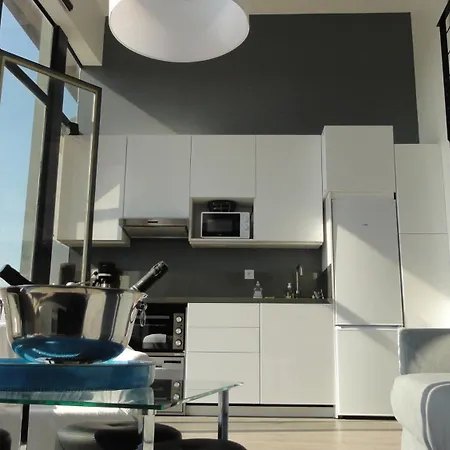 Lägenhet Loft Vue Fleuve Garonne Parking Gratuit Toulouse