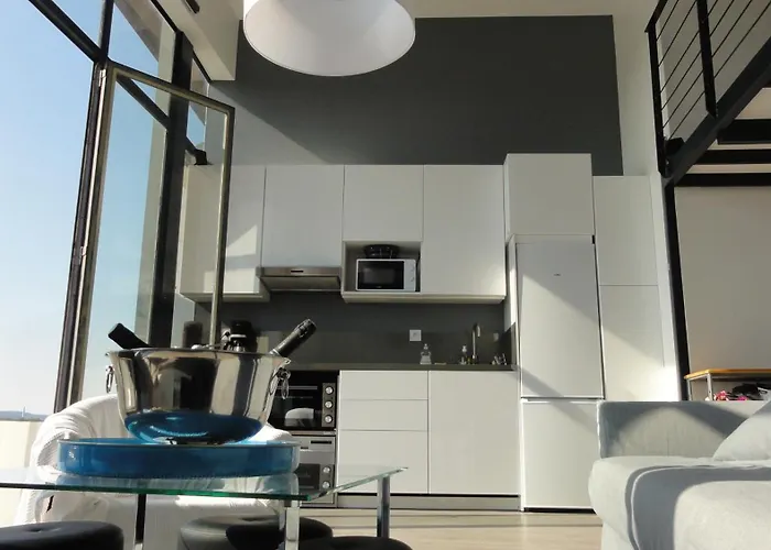 Lejlighed Loft Vue Fleuve Garonne Parking Gratuit Toulouse